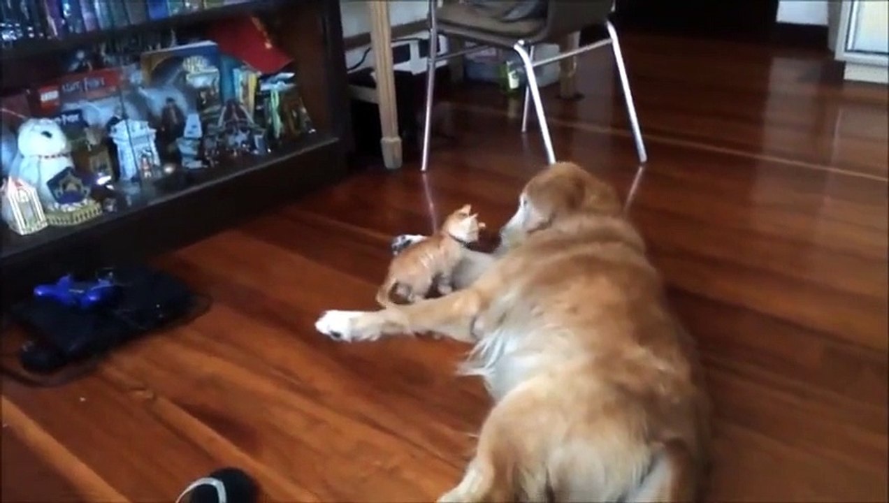 Мы с тобой одной крови)