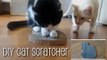 Astuce ingénieuse pour réaliser un griffoir pour votre chat en quelques minutes