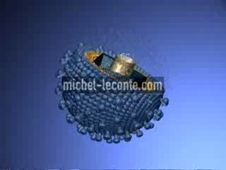 CHIKUNGUNYA TOGAVIRIDAE VIRUS