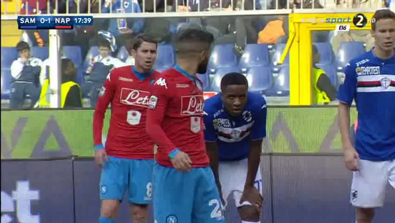 All Goals HD - Sampdoria 2-4 Napoli  24-01-2016