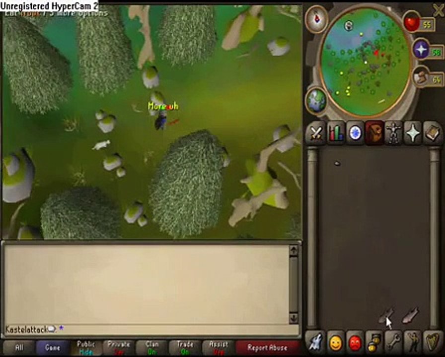 RS: Money making guide (1/2)