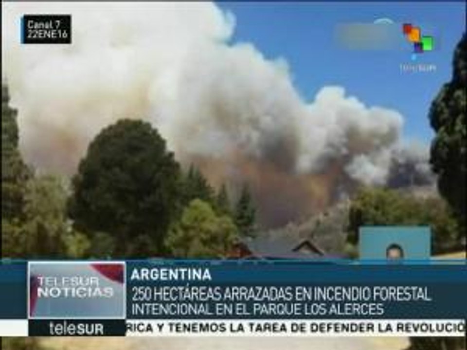Argentina: incendio forestal afecta al Parque Nacional Los Alerces
