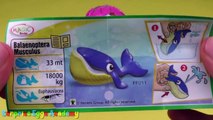 5 Kinder Surprise Eggs - Kinder Überraschung Maxi, Kinder Toys, Polly Pocket Toys