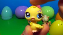 6 Littlest Pet Shop surprise eggs! LPS surprise eggs! Each egg holds a different lovable pet!