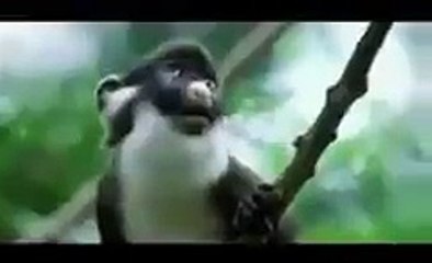 esko to samjh he nai ati k kon bol raha hy very funny