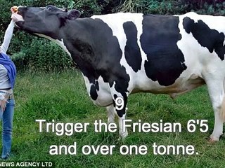 20 Unbelievably Giant Animals