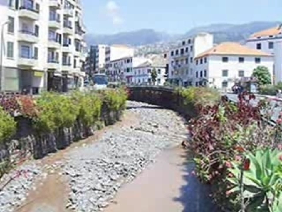 IMAGENS DA MADEIRA