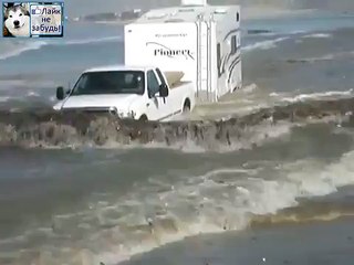 Любитель поплавать в море