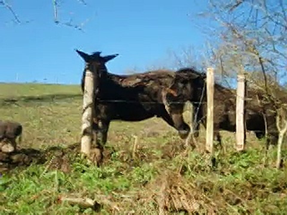 darwin et uvalou 24-01-16