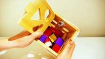 Learn shapes for children with a shape sorter for toddlers and small children