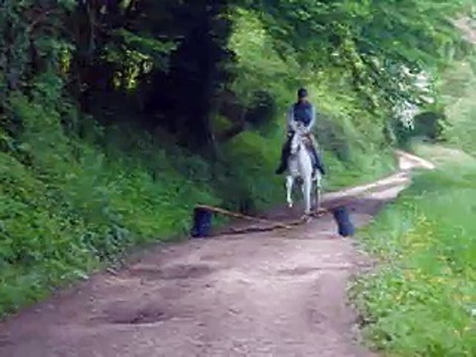 Thibaut  et paso 2014-2015