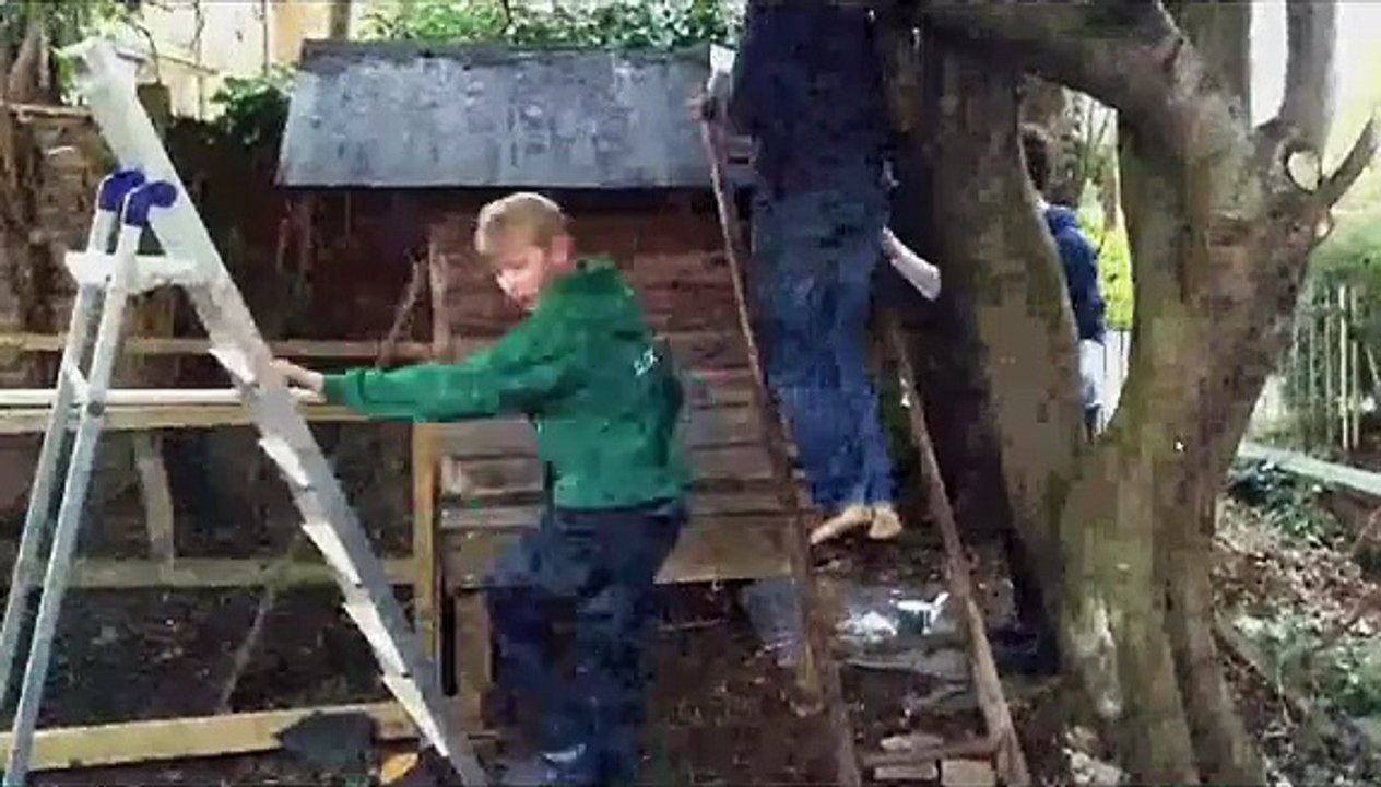 Building a chicken coop