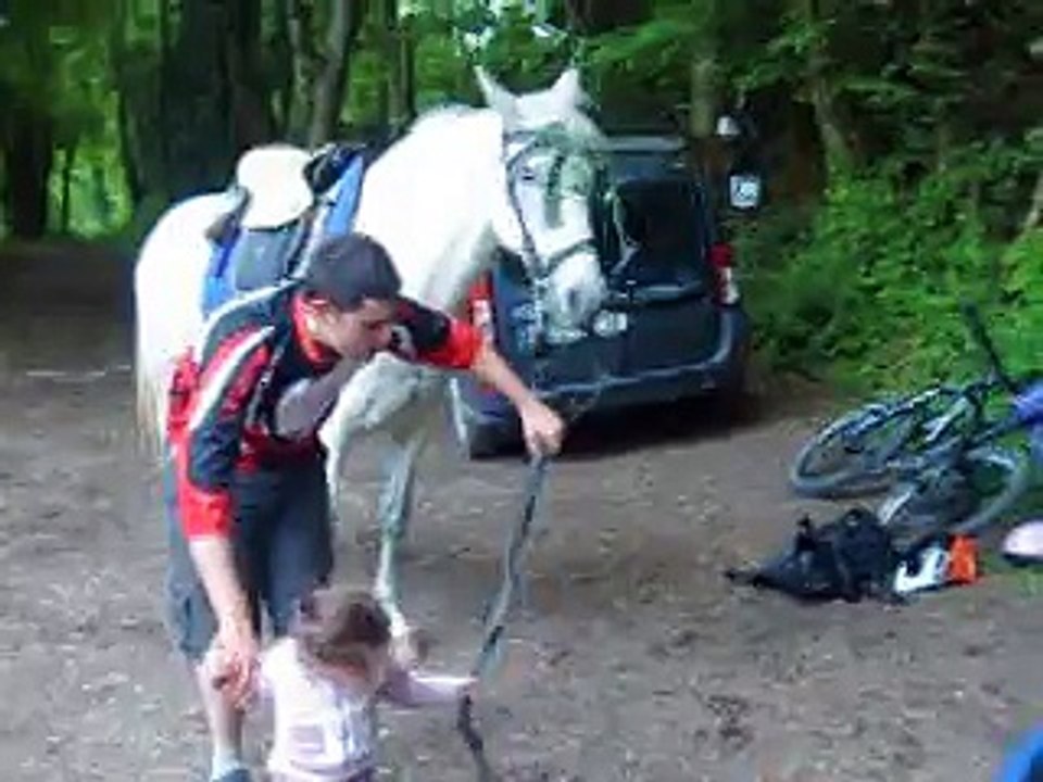 angelina qui tire paso 2014 -1