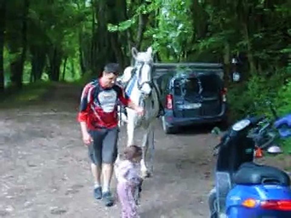 angelina et paso 2014-2