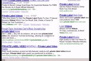 PLR Product Ideas Part 5 - PLR Video (Private Label Rights Video)