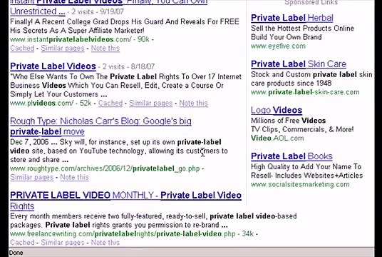 PLR Product Ideas Part 5 - PLR Video (Private Label Rights Video)