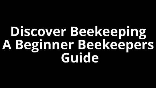Discover Beekeeping - A Beginner Beekeepers Guide