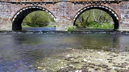 White Mill Bridge and River Stour.  Music by www.danosongs.com