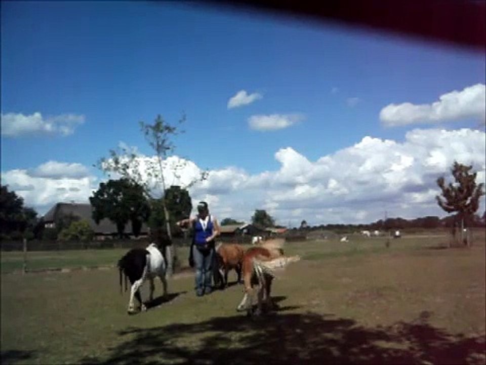 Clickertraining met Lorenzo