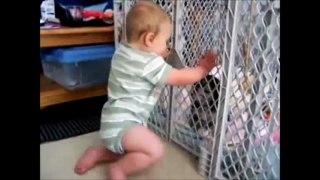 FUNNY BABY VIDEOS PART 8