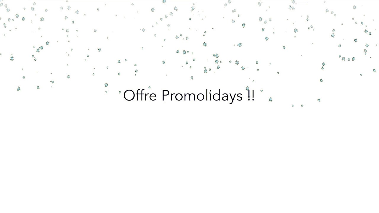 Offres vacances hiver - Hôtel Kyriad Tours Sud