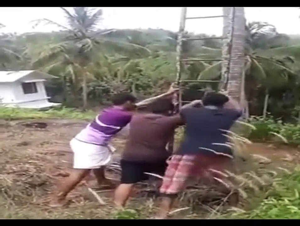 Video Lucu Orang Arab Gila Bikin Ngakak Jumpalitan Terbaru_ By Toba.tv