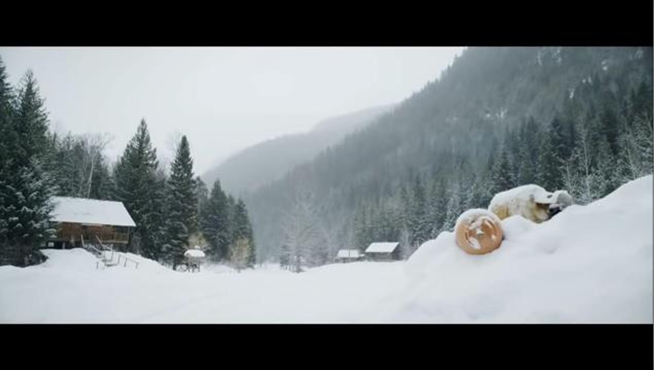 Black Mountain Side    -    trailer