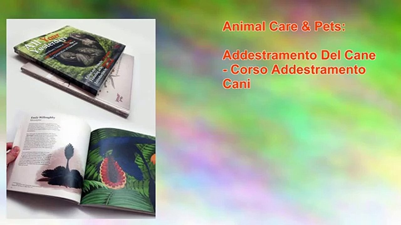 Addestramento Del Cane - Corso Addestramento Cani