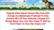 Dog food secrets how to keep your dog healthy and stop poisoning your dog !