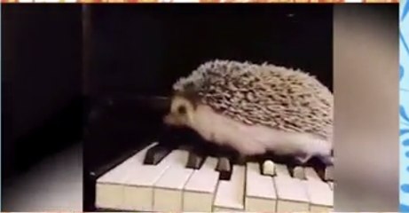 22 января 2016 года