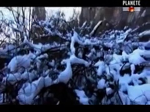 Le Comte Dracula, Vlad Tepes [Documentaire Histoire]