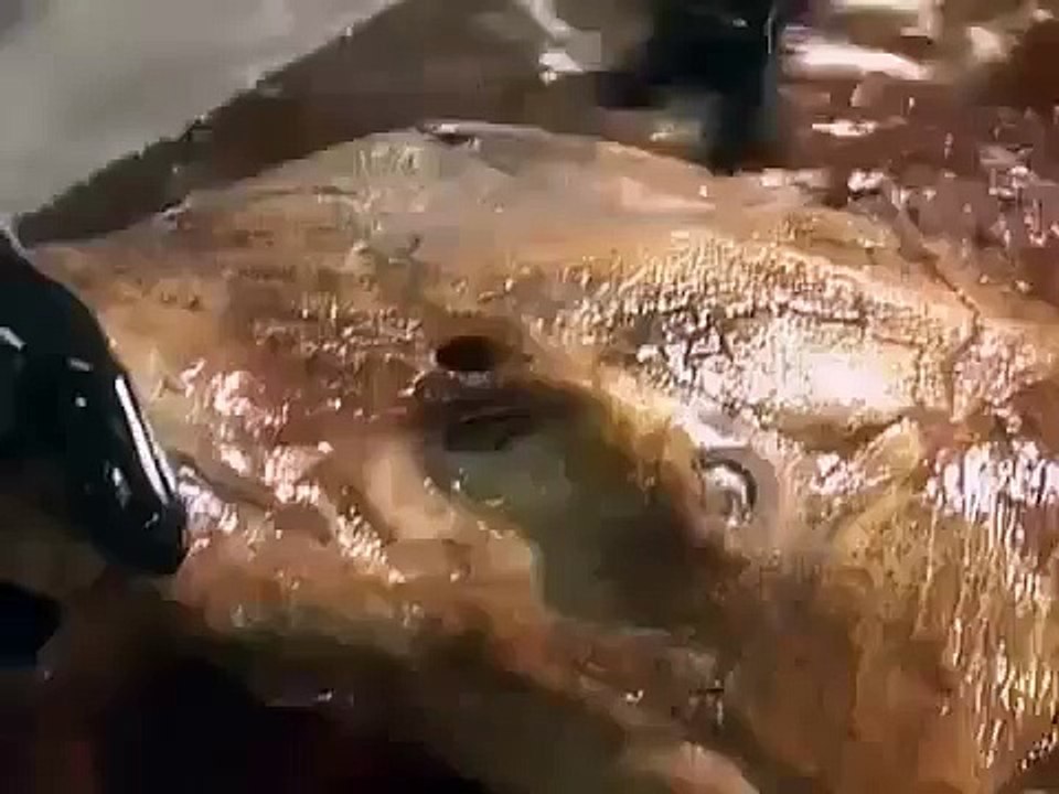 Le monstre du loch ness paranormal preuves de l\'existence du monstre documentaire en français