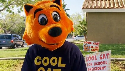 Cool Cat 1