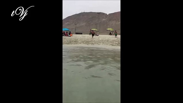 Tide - Low tide - Ebb Tide - Ops !