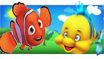 Finding Nemo Finger Family Rhymes For Children
