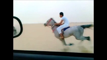 فارس وخيال صح  مع شيله العانى طرب وحماسيه