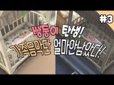 [다주] 쌍둥이가 태어났다! 가족음악단 본격 시작!? *3편 완결 [심즈3/Sims3] 모두가 잠든 후에