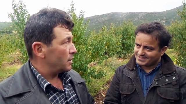 Nektarin Yetiştiriciliği, Sulama,Gübreleme, İlaçlama, Toprak Çeşidi, Nasıl, Ne Zaman , Yap