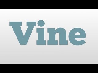 Vine meaning and pronunciation