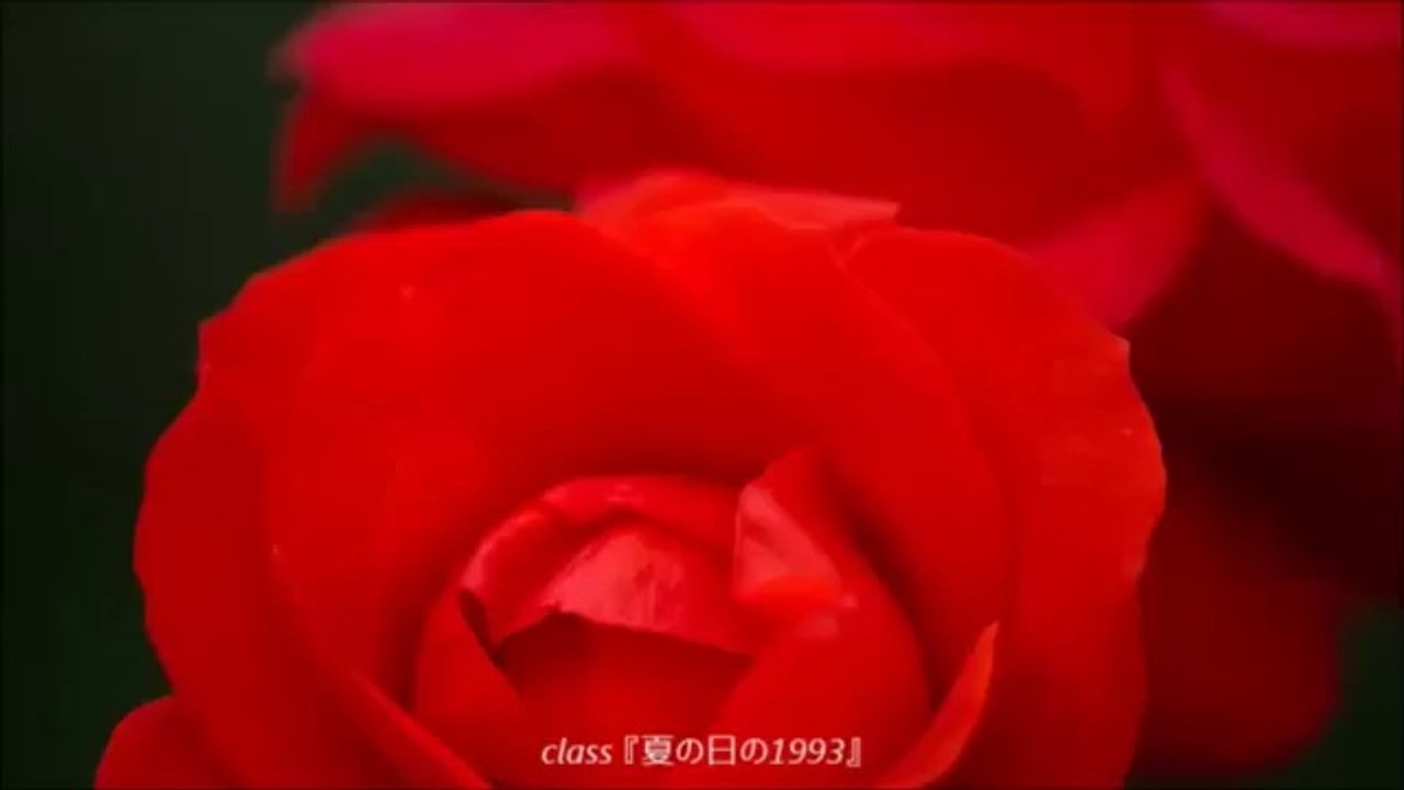 夏の日の1993(カラオケ) / class