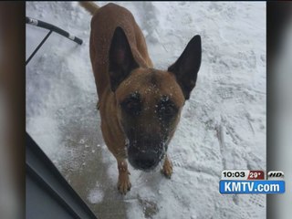 Day long standoff ends, K-9 is shot and killed