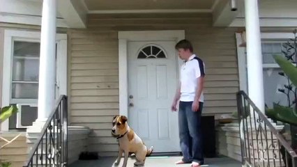 The Tick (1990's Cartoon Series) - #31