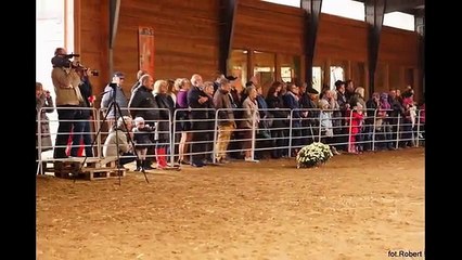 10-lecie Fundacji CANE PRO HUMANO- pokaz zdjęć