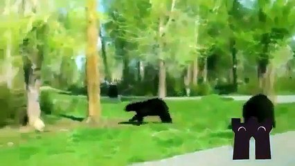 面白い怖い2015エピソード 142