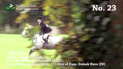 TIHA Hunter Show and Go 2015 - 23