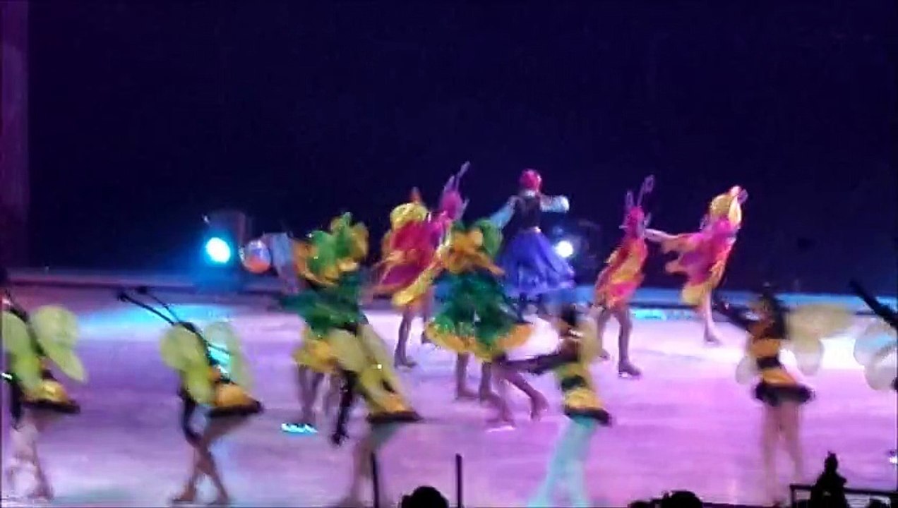 Disney sur glace les mondes féeriques 24.01.201...