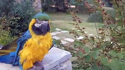 House Sitting Academy Retreat in Greece - Part One