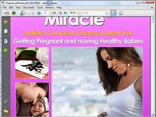 Pregnancy Miracle Video Review