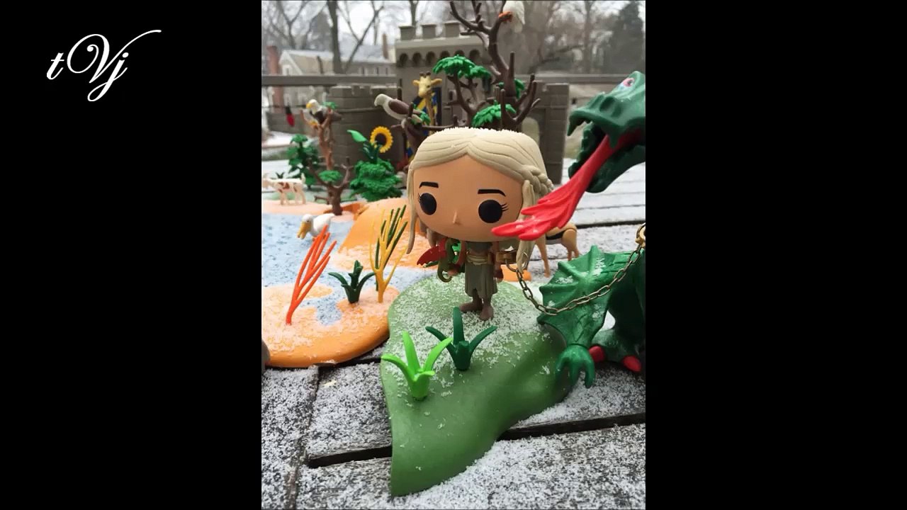 Time Lapse Snow
