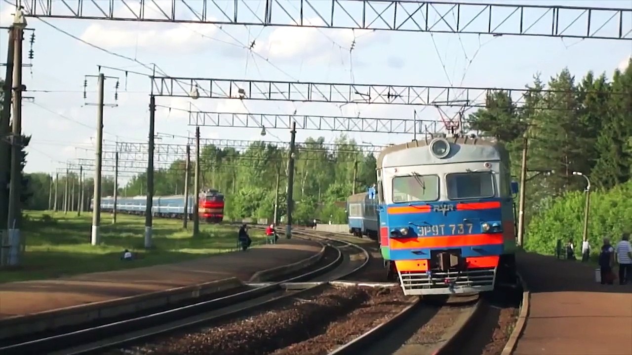 Дикая бабка [Видео из +100500]